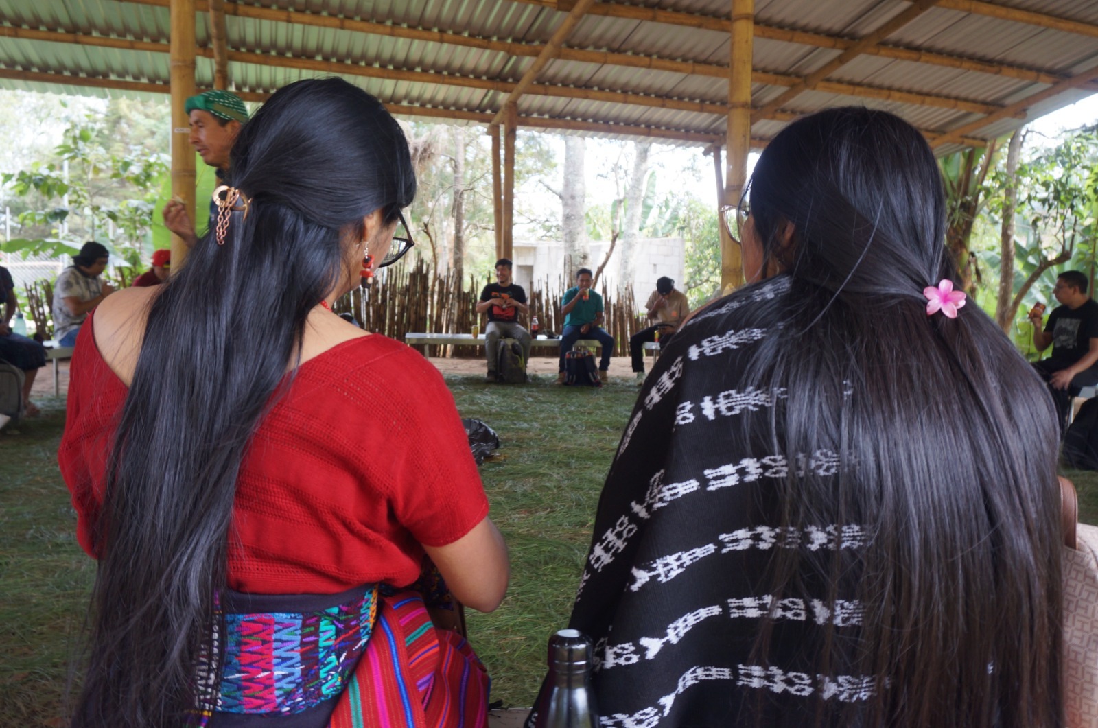 p1ittu5b33adp1m1nek3cu6o38